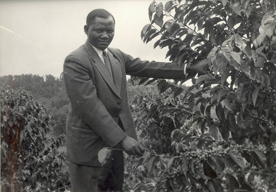 Kenya - Muchoki AB