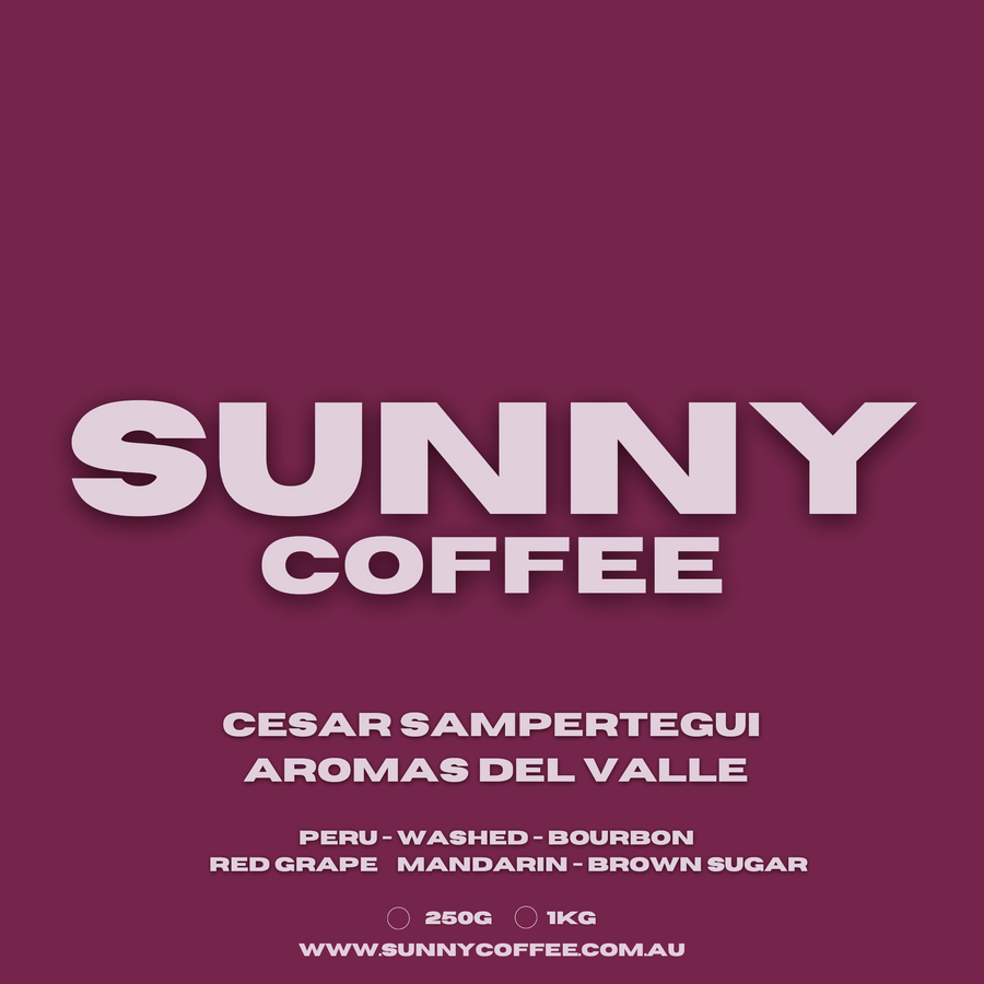 Per - Cesar Sampertegui - Aromas del Valle