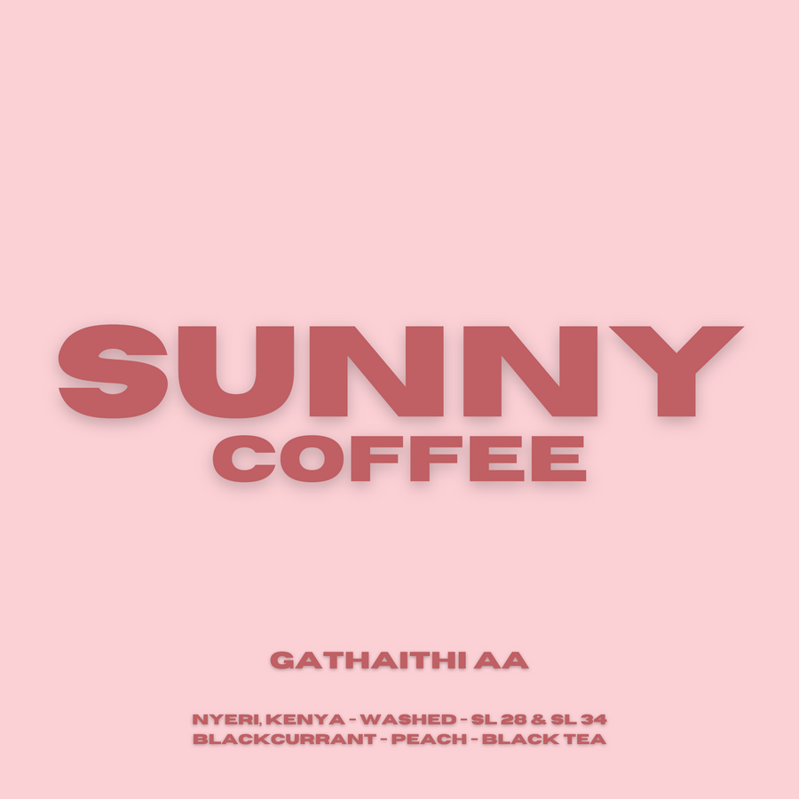 Kenya - Gathaithi AA