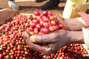 Kenya - Gathaithi AA