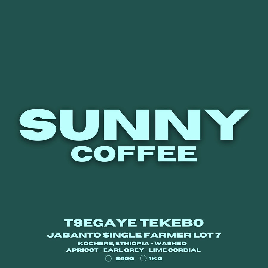 Ethiopia - Tsegaye Tekebo - Jabanto Single Farmer Lot 7